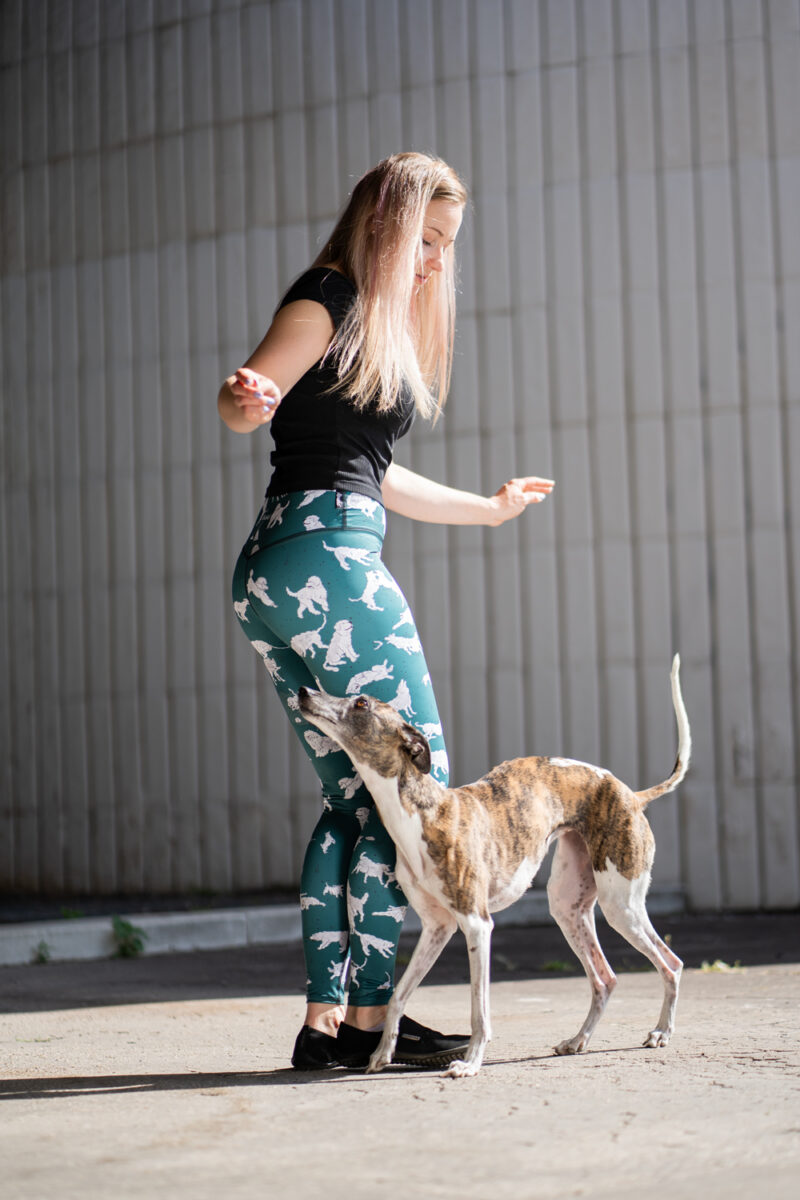 Leggings - Dogs